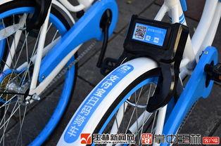 玉林自行车爆料最新消息,行业动态揭秘，市场格局再起波澜