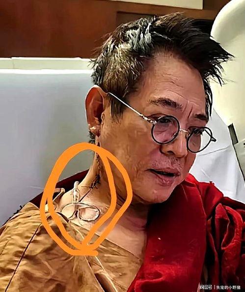 李连杰最新视频爆料,武术传奇背后的故事与感悟