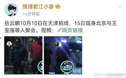 扒叔最新爆料消息视频,最新爆料视频深度解析